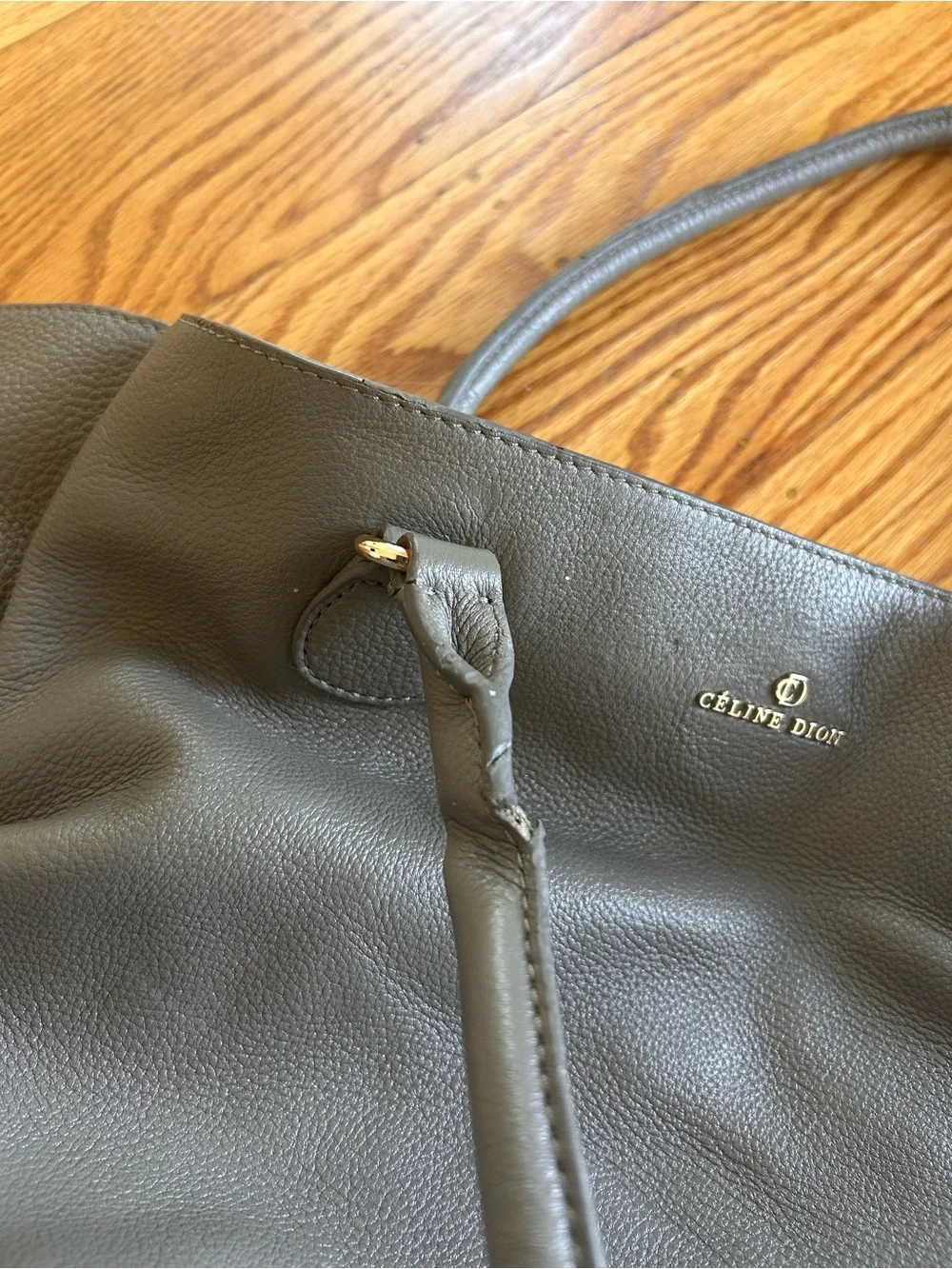 Celine Dion this handbag